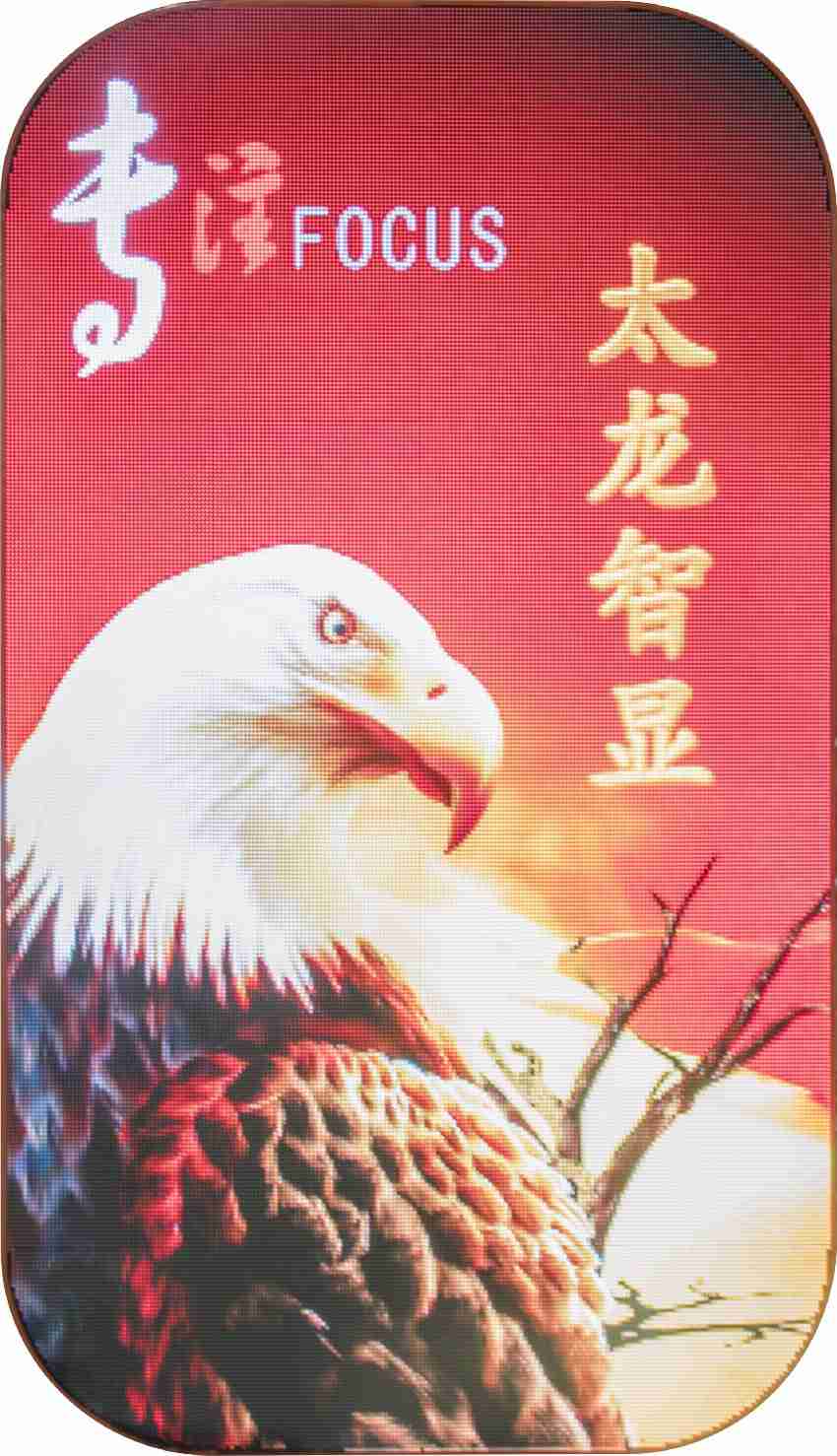 LED燈桿屏|智慧燈桿屏|立柱廣告機(jī)|LED廣告機(jī)|智慧路燈屏|燈桿廣告屏 LED燈桿屏|智慧燈桿屏|立柱廣告機(jī)|LED廣告機(jī)|智慧路燈屏|燈桿廣告屏