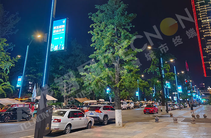 LED燈桿屏,智慧燈桿 LED燈桿屏,智慧燈桿